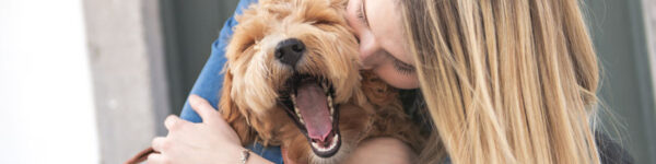 A Labradoodle Dog and woman outside on balcony